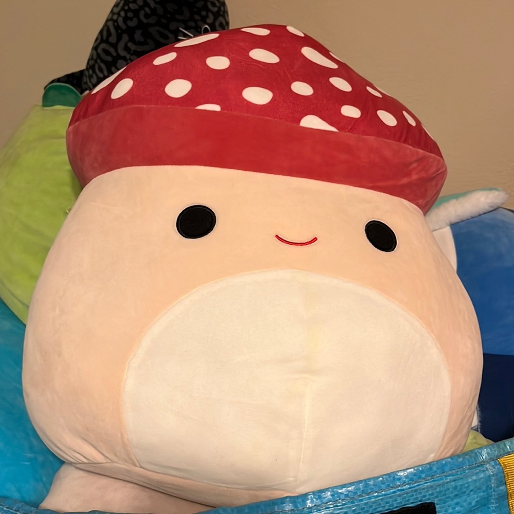 malcolm squishmallow 16in